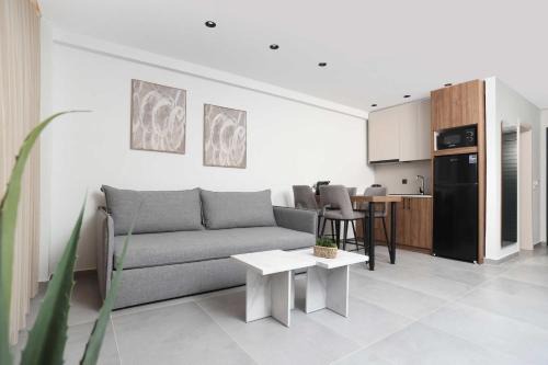ELYSIAN luxury apartments in Paliouri