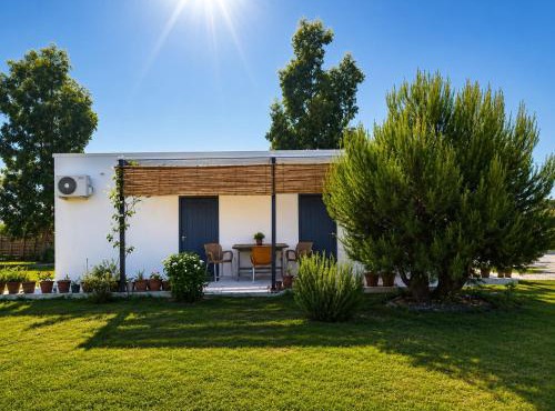 The Pine House in Fier