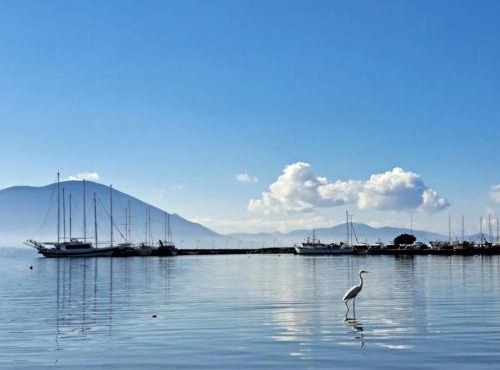 Giotas near the Sea Artaki apartment in Nea Artaki