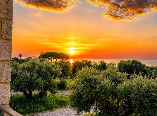 Olive Coast House 3 100m from the sea in Kyparissia