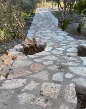 Olive Stone Villa