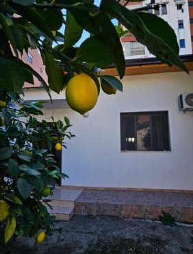 Garden Lemon Tree Villa