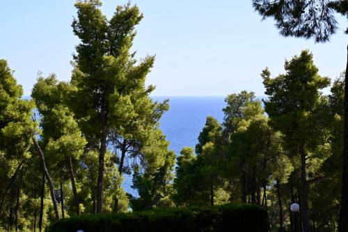 Sani Villa Miramare in Sani Beach