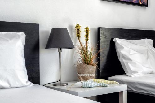 Saint Sophia's City Stay, By Idealstay Experience