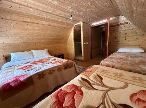Guesthouse Bjeshka 5