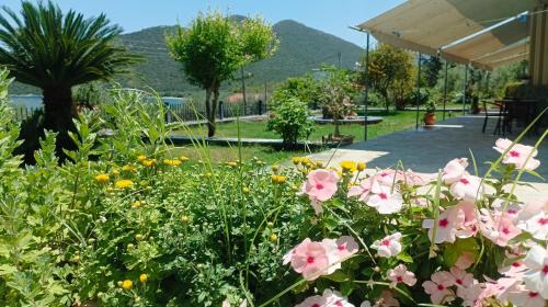 Studios Zaritsi
