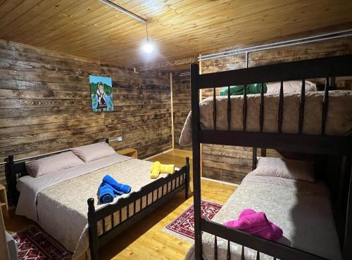 Guesthouse Zgiboza in Shkodër