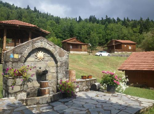 Livadaki Village - Δασικό Χωριό Λιβαδάκι in Karpenisi